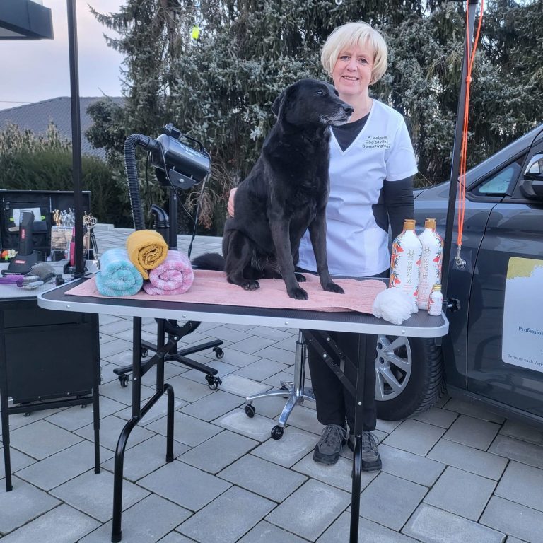 Molbiler Hundesalon Hundefrisör - Alexandra Veigele